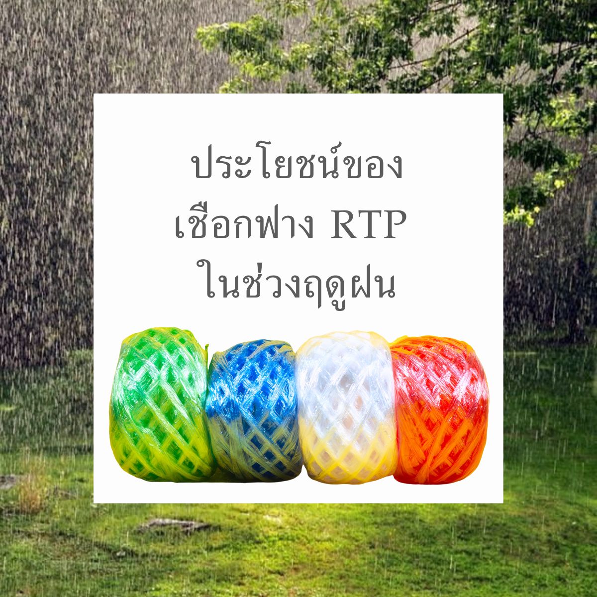 ประโยชน์ของ เชือกฟาง RTP ในช่วงฤดูฝน